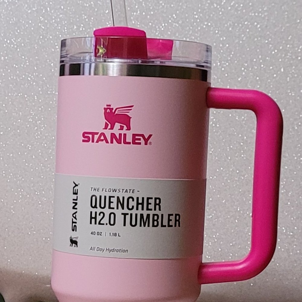 Pink Stanley Cup 40 oz Target Exclusive NWT